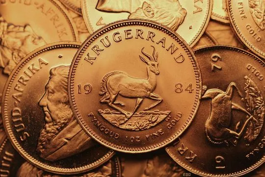 Krugerrand Zahlseite