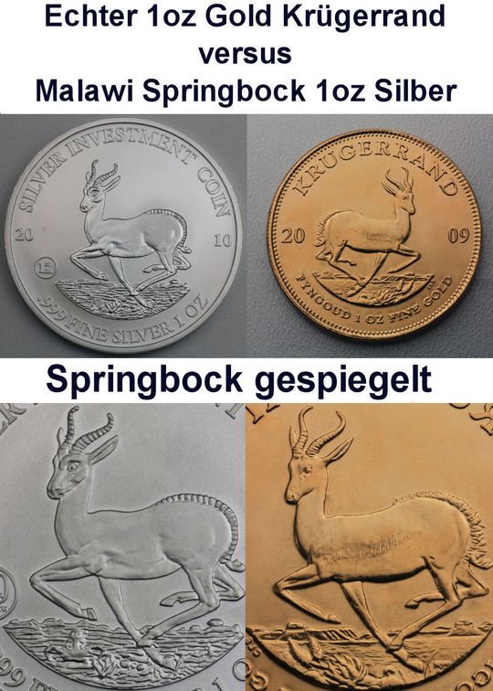 Der Malawi Springbock ist kein Silber Krügerrand!