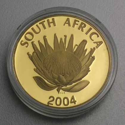 Sonderprägung aus 1oz Feingold 2004