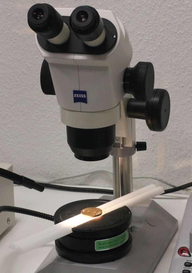 Zustandskontrolle unter dem Mikroskop